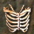 Pc oberteil skelett01.png