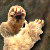 Pc gloves lion01.png