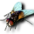 Insekt fliege01.png