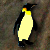 Pinguin01.png