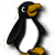 Pet pinguin01.png