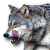 Wolf01.png