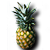 Ananas01.png