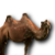Tier kamel01.png